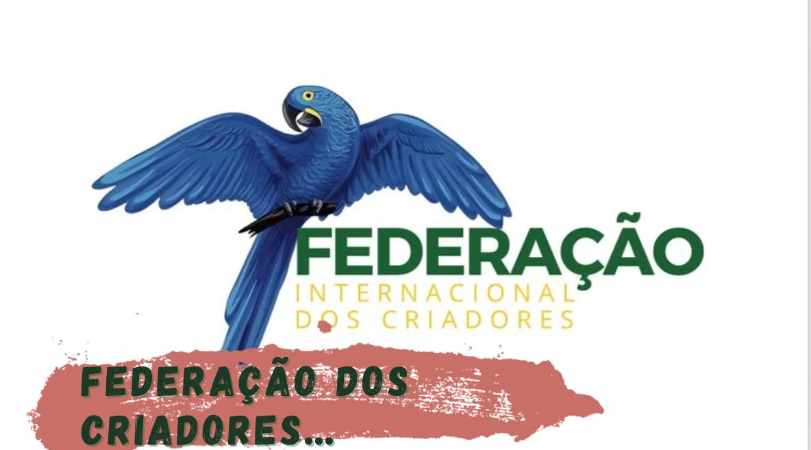 Confira o calendário atualizado dos próximos torneios da FIC