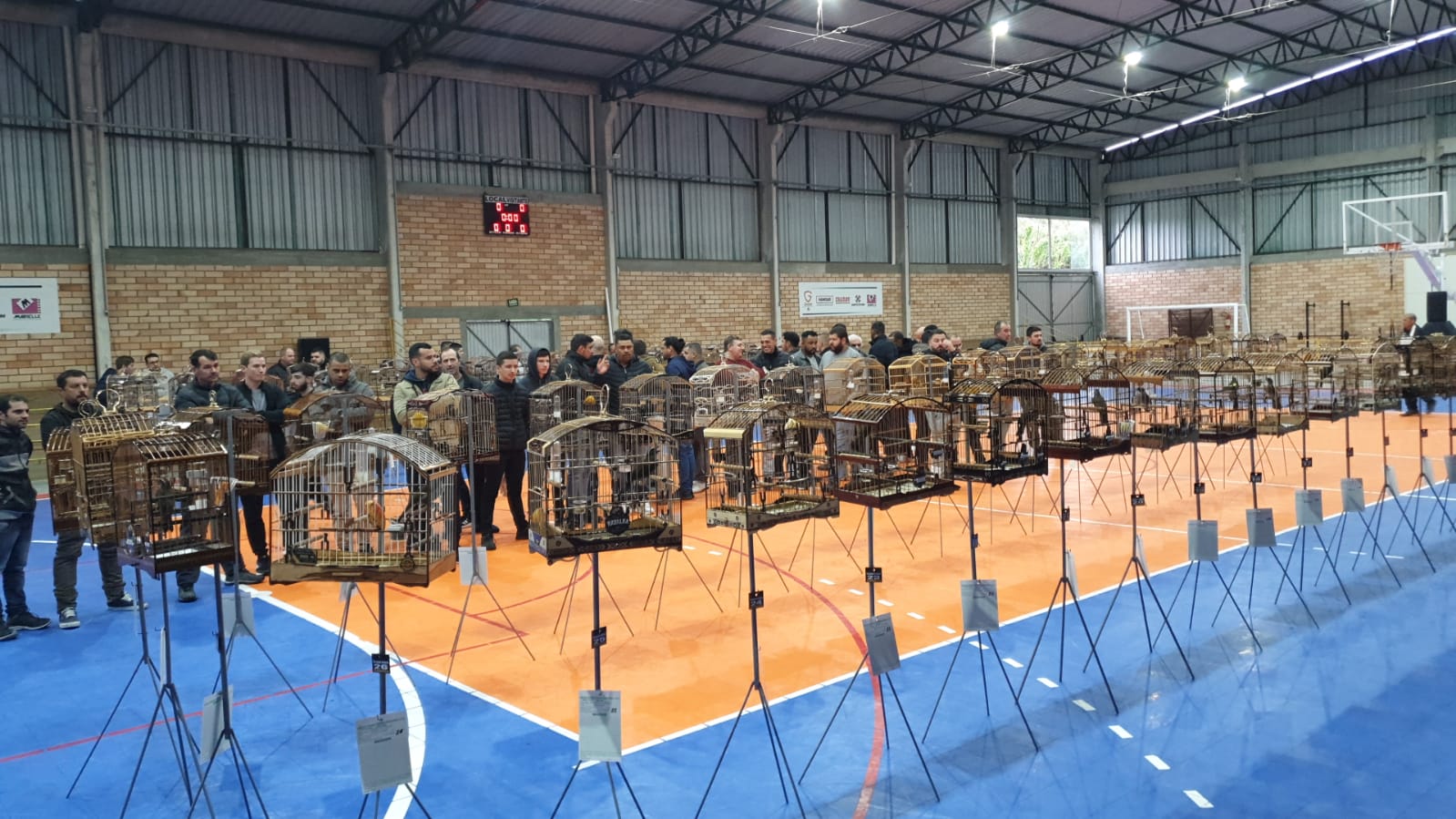 Coleiro Fantástico bate 292 cantos e leva primeiro lugar em nova edição do Torneio do Cabeça