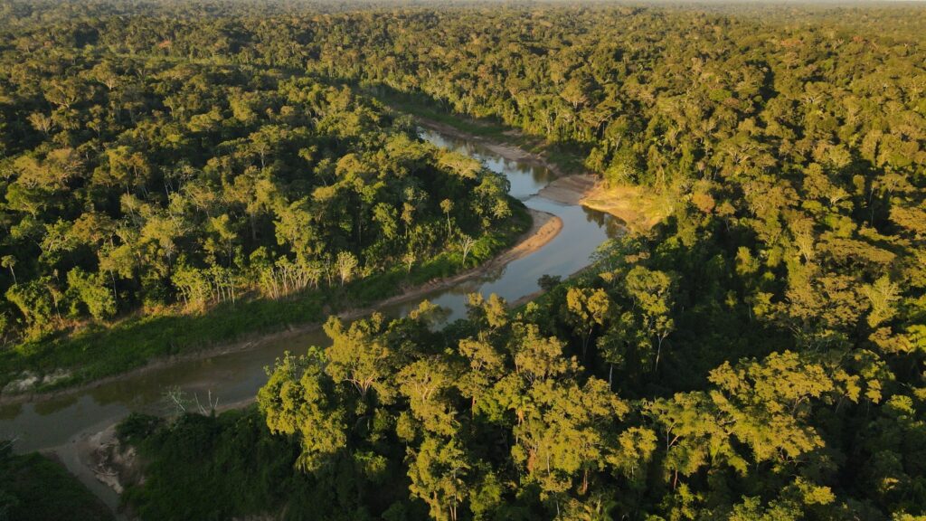 Parque Estadual Chandless, UC com quase 100% de território conservado, completa 20 anos